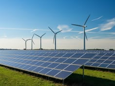 Renewable Energy